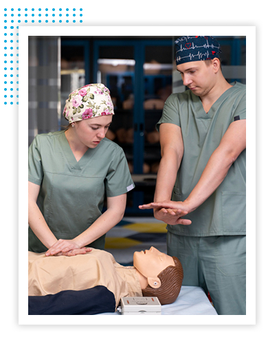 Education In Slovakia